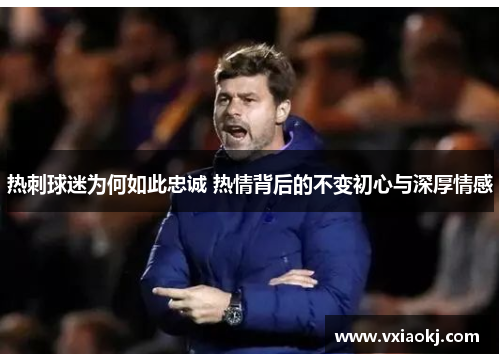 热刺球迷为何如此忠诚 热情背后的不变初心与深厚情感