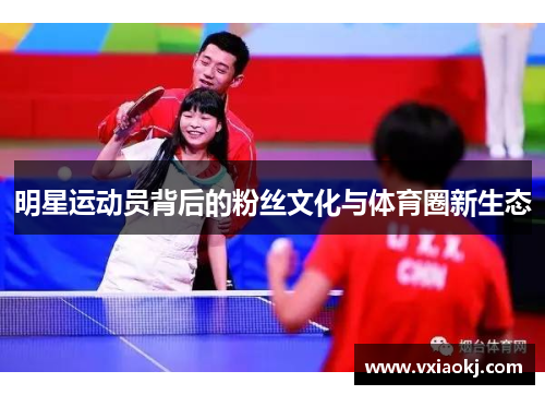明星运动员背后的粉丝文化与体育圈新生态