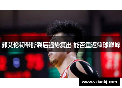 郭艾伦韧带撕裂后强势复出 能否重返篮球巅峰