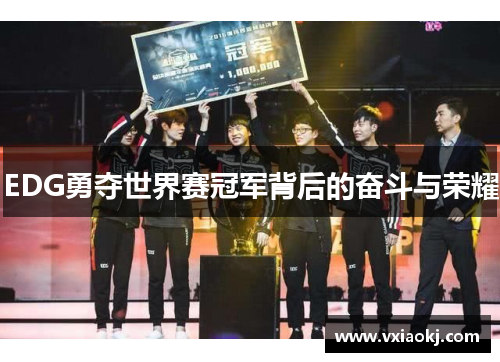 EDG勇夺世界赛冠军背后的奋斗与荣耀