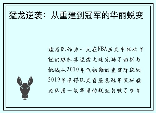 猛龙逆袭：从重建到冠军的华丽蜕变