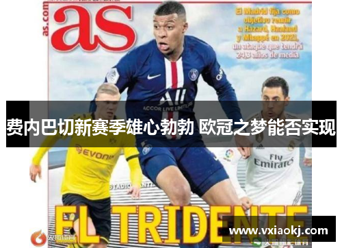 费内巴切新赛季雄心勃勃 欧冠之梦能否实现