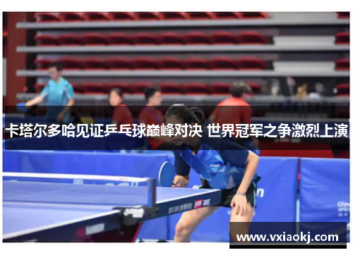 卡塔尔多哈见证乒乓球巅峰对决 世界冠军之争激烈上演