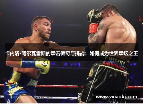 卡内洛·阿尔瓦雷斯的拳击传奇与挑战：如何成为世界拳坛之王